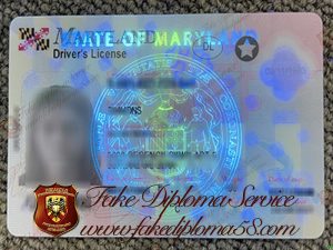 Maryland driver's license
