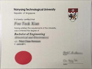 Nanyang Technologicial University degree