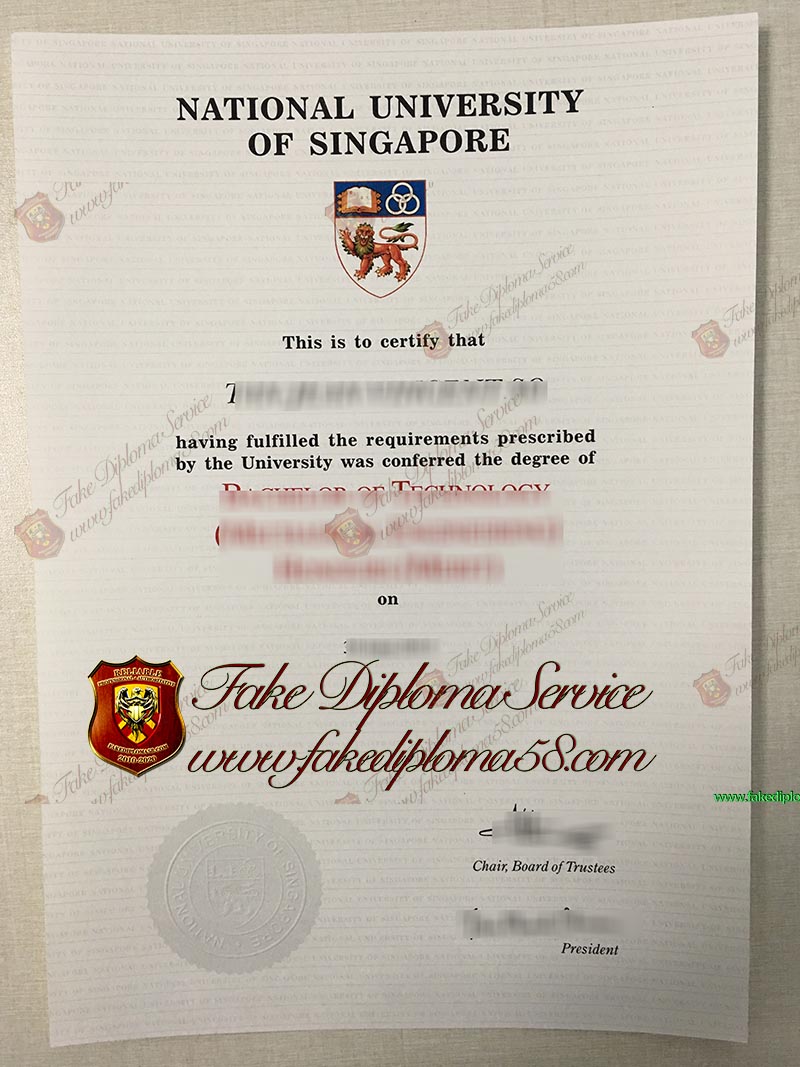 National University of Singapore diploma