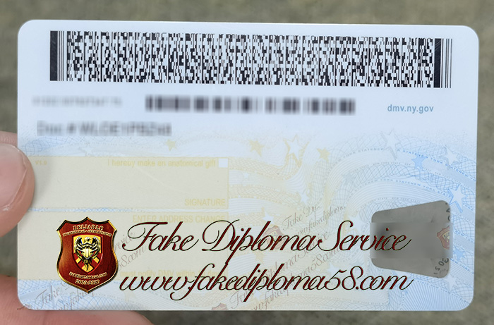 New York driver's license