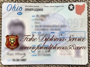 Ohio driver's license