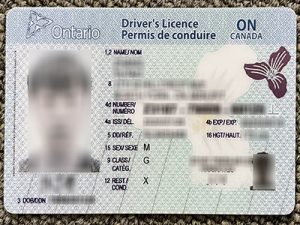 Ontario driver's license