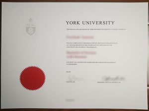 University of York degree