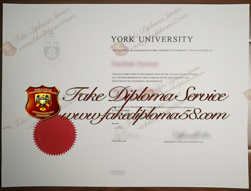 University of York diploma