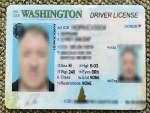 Washington driver's license