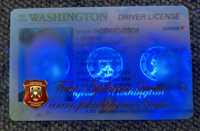 Washington driver's license