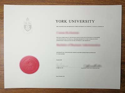 Where can i get a fake York University degree on time