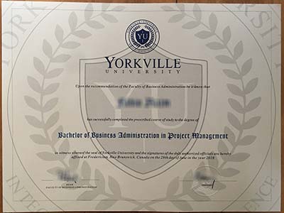 How to purchase a fake Yorkville University degree quickly