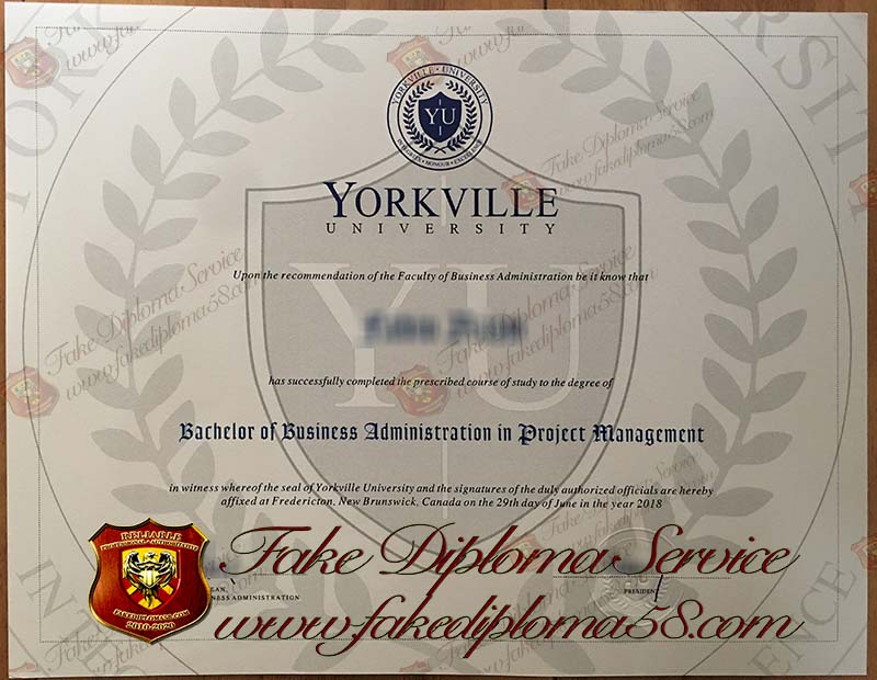 Yorkville University diploma