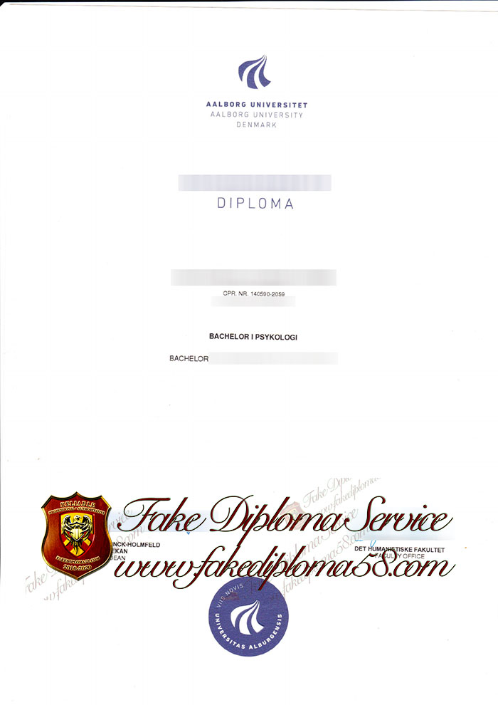 Aalborg University degree