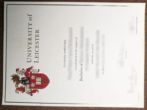 University of Leicester degree