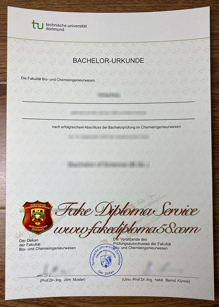 Dortmund University of Technology diploma