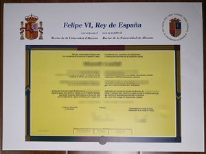 Universidad de Alicante degree