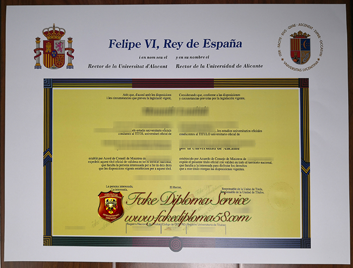 Universidad de Alicante diploma