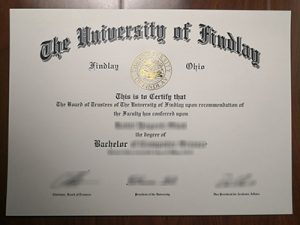 The University of Findlay degree