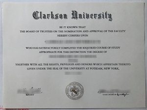 Clarkson University degree