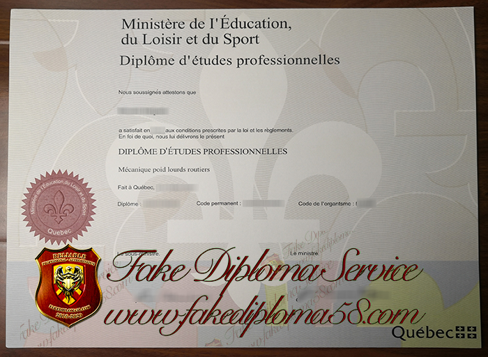 Diplome d'etudes professionnelles1