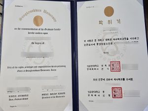Sungkyunkwan University degree