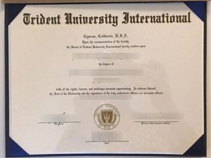Trident University International degree