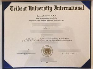 Trident University International degree