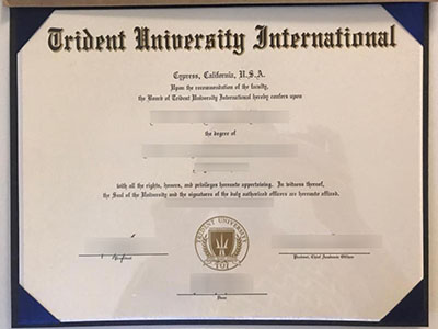 How to purchase a fake Trident University International degree quickly?