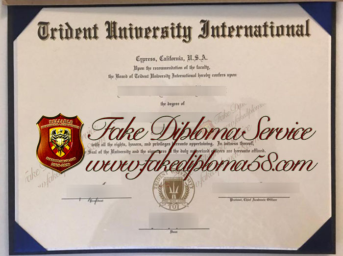 Trident University International degree1