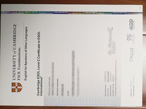 Cambridge ESOL Level 2 Certificate