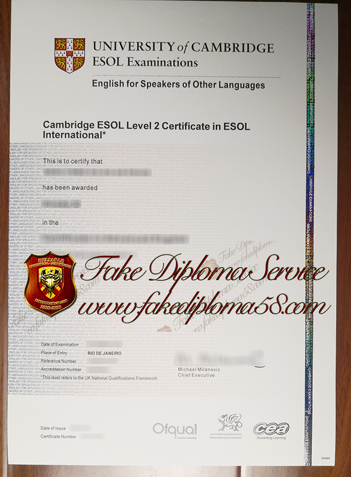 Cambridge ESOL Level 2 Certificate1