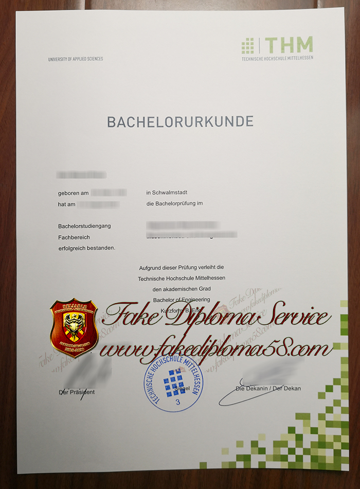 Technische Hochschule Mittelhessen degree1