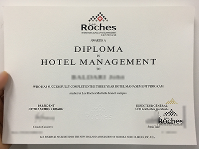 How many people does to order a fake Les Roches Marbella diploma?