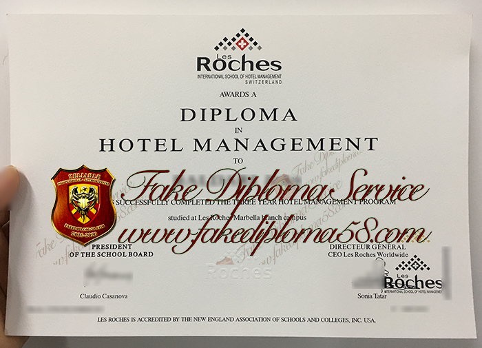 Les Roches Marbella diploma