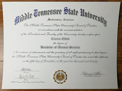How much does a fake Middle Cennessee State University degree?