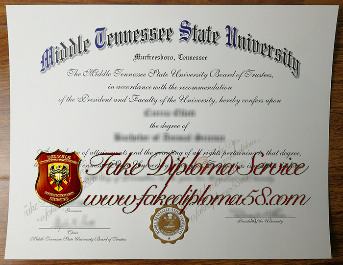 Middle Tennessee State University degree