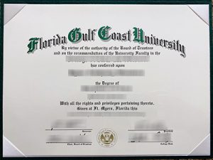 Florida Gulf Coast degree
