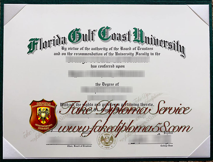 Florida Gulf Coast degree