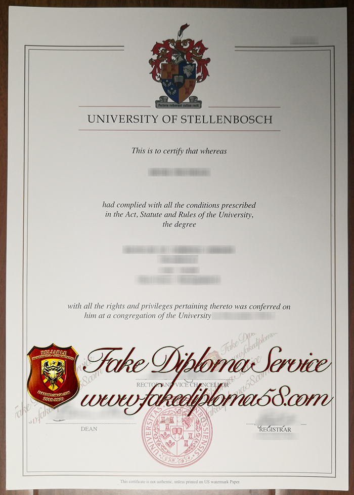 University of Stellenbosch degree