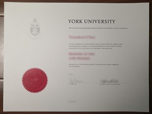 York University degree