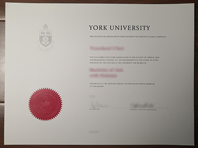 How to obtain a fake York University degree for a job?