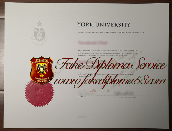 York University degree