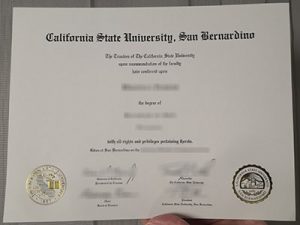 CSUSB degree