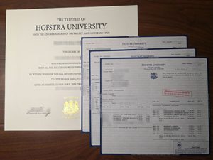 Hofstra University degree