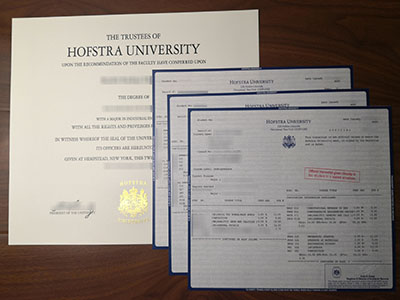 How much does a phony Hofstra University degree and transcript?