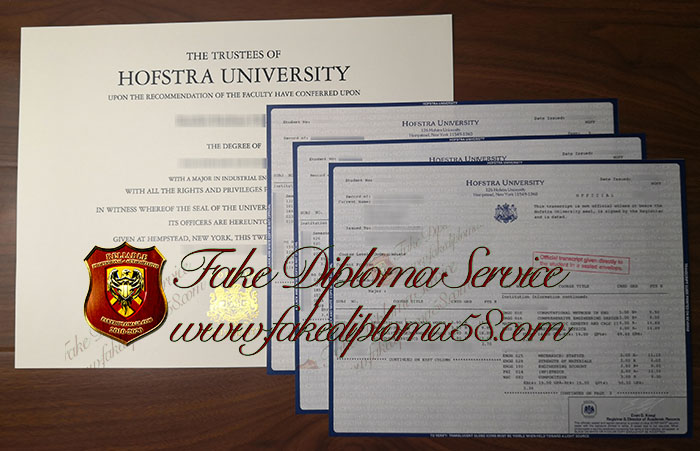 Hofstra University degree