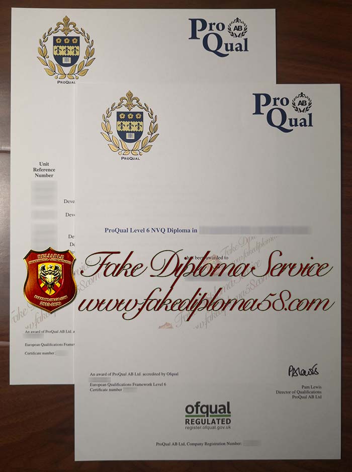 ProQual level 6 diploma