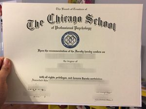 The Chicago School degree