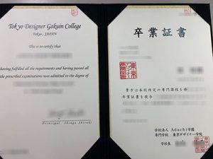 Tokyo Designer Gakuin College degree