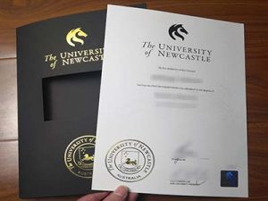 University of Newcastle degree