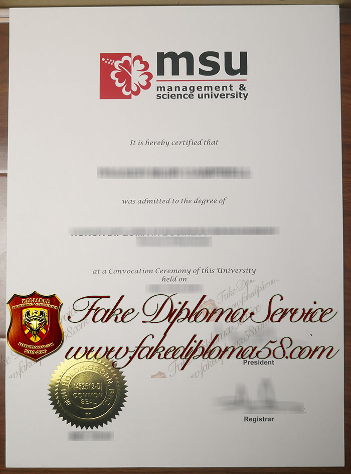 MSU degree