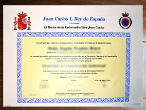 Universidad Rey Juan Carlos degree
