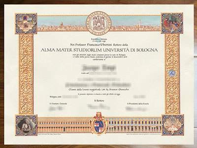 How much is a fake University of Bologna degree from Italian?
